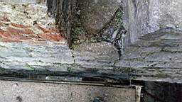 acastle 164940.jpg